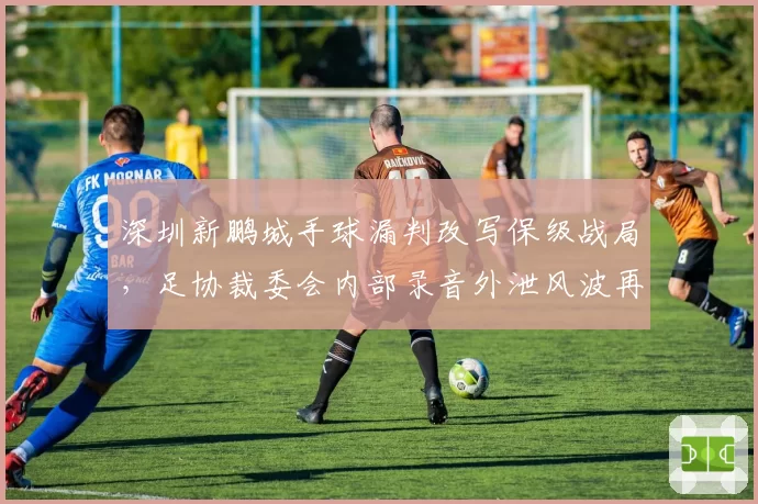 深圳新鹏城手球漏判改写保级战局,足协裁委会内部录音外泄风波再起