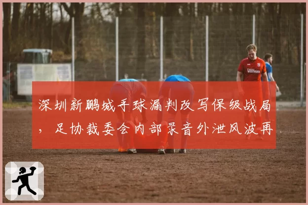 深圳新鹏城手球漏判改写保级战局,足协裁委会内部录音外泄风波再起