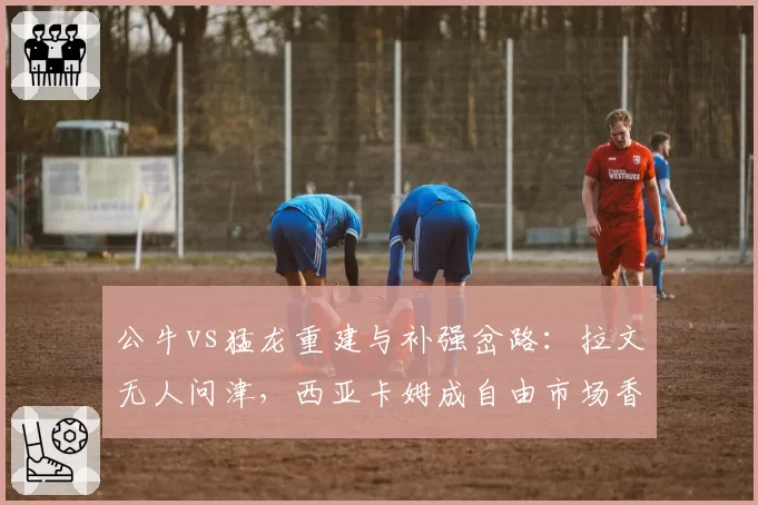 公牛vs猛龙重建与补强岔路:拉文无人问津,西亚卡姆成自由市场香饽饽