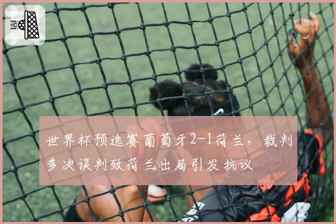世界杯预选赛葡萄牙2-1荷兰,裁判多次误判致荷兰出局引发抗议